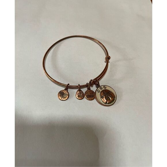 Alex and Ani Sand Dollar Bracelet Swarovski Crystals Bangle 'serendipity" - Picture 1 of 2